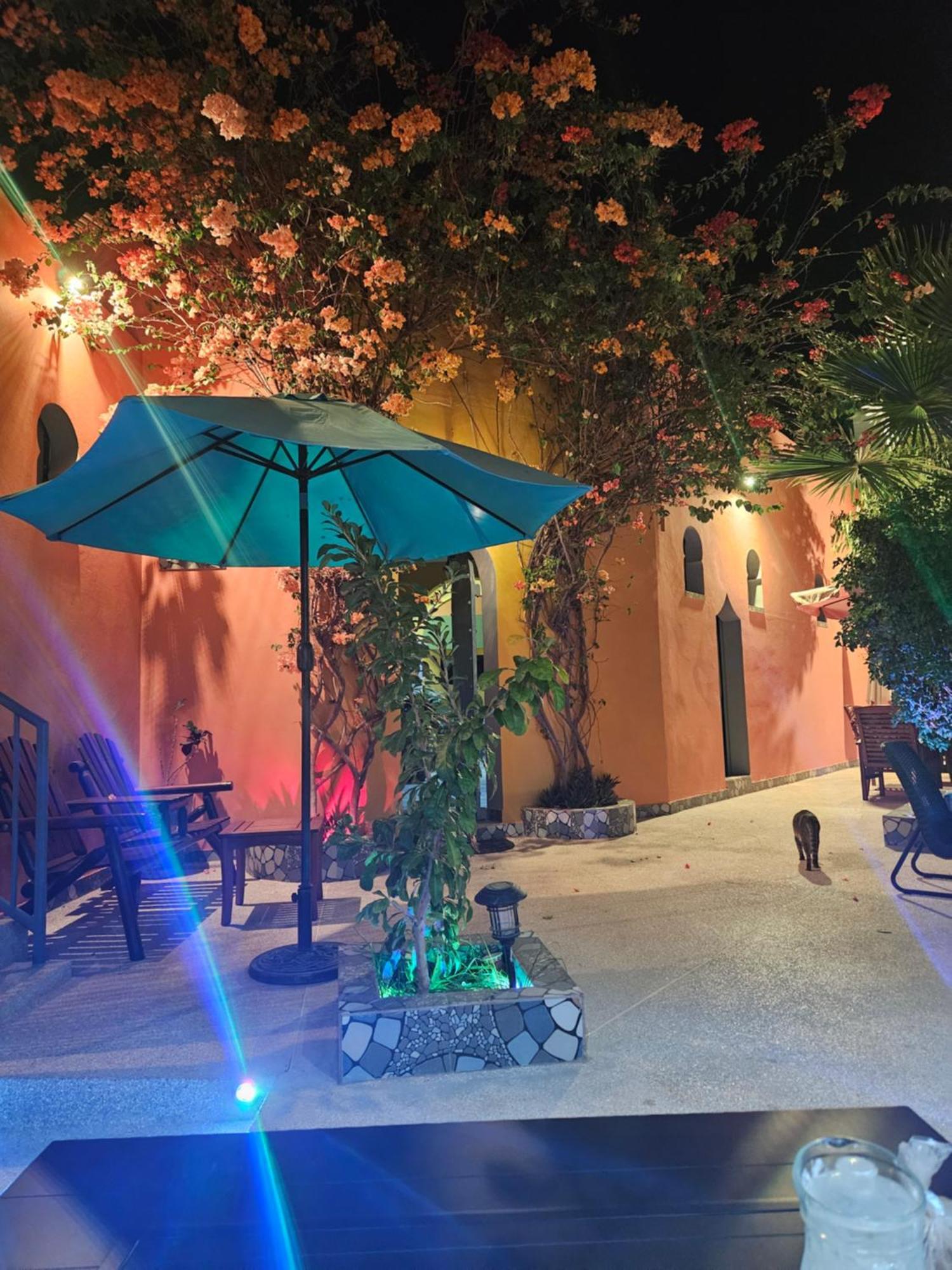 Chez Fatima Et Herve ソモーヌ エクステリア 写真